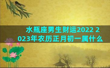 水瓶座男生财运2022 2023年农历正月初一属什么